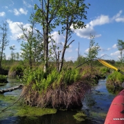 Сплав по Ірдинському болоту 1 день: программа, график тура, стоимость, фото и отзывы
