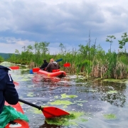 Сплав по Ірдинскому болоту та Тясминському каньйону 2 дні: программа, график тура, стоимость, фото и отзывы
