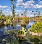 Сплав по Ирдынскому болоту 1 день: программа, график тура, стоимость, фото и отзывы