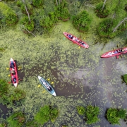 Сплав по Ірдинському болоту 1 день: программа, график тура, стоимость, фото и отзывы