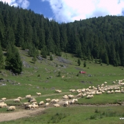 Автотур в Румынию в национальный парк «Апусени»: программа, график тура, стоимость, фото и отзывы